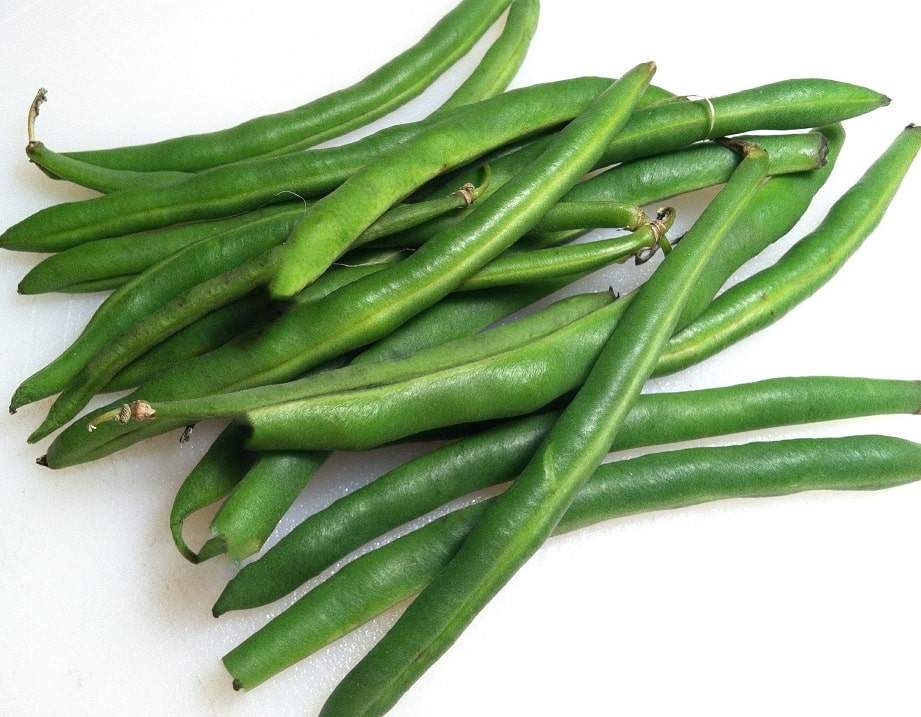 french-beans-seeds-nurseryeveryday